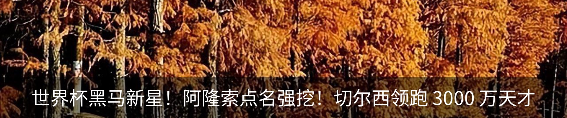 热点资讯